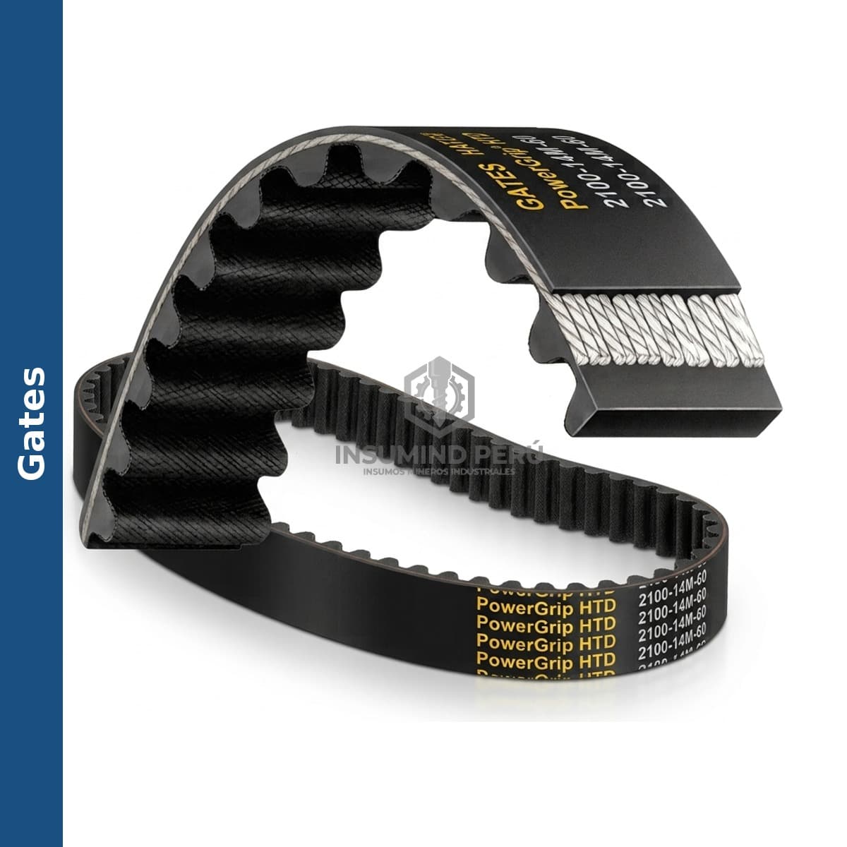 Faja dentada Gates 14M